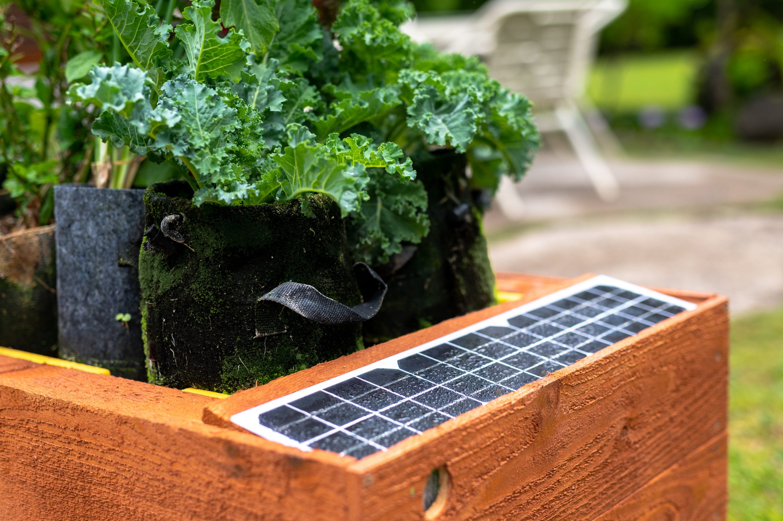 image of GrowBot with solar panel