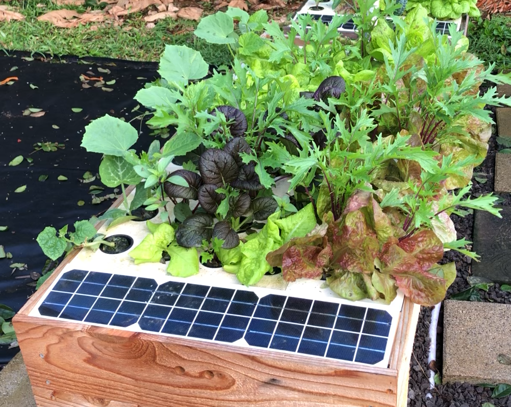 growbot hydroponics growbot hydroponics