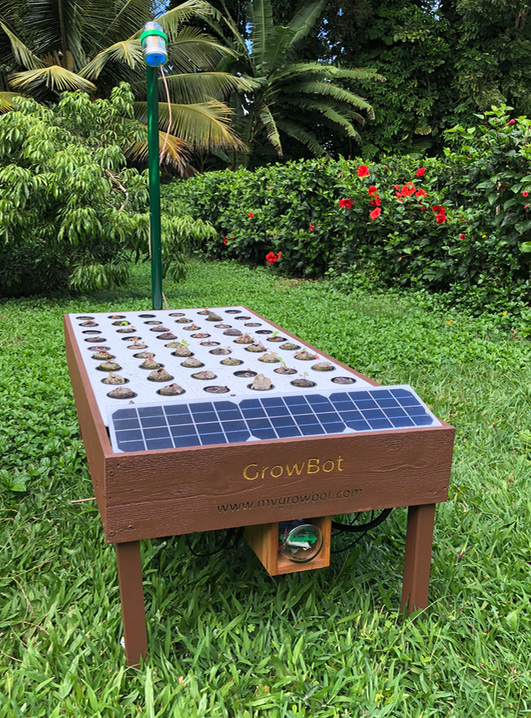 fully automated hydroponic garden