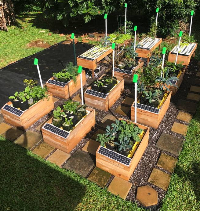 Voorbijganger Zich verzetten tegen Gepensioneerd Easy Garden – Automated Watering and Feeding – Massive Growth – Water  Efficient – No Fertilizer Waste | GrowBot - An easy garden for anyone.