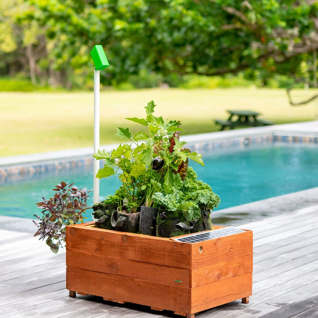 Planting and Harvesting With GrowBot